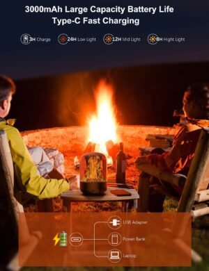 New 3000MaH 3 Way Adjustable Smart LED Colorful Bluetooth Speaker Atmosphere Flame Light For Outdoor and Indoor use By Zoun